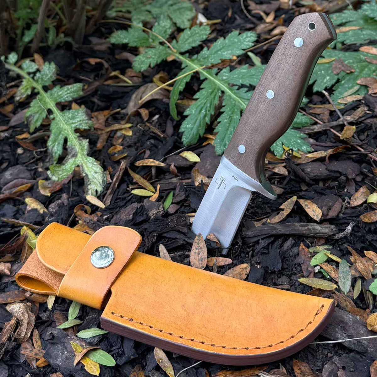 Böker Plus Walnut Drop – Outdoormesser mit Walnussholzgriff & Lederscheide