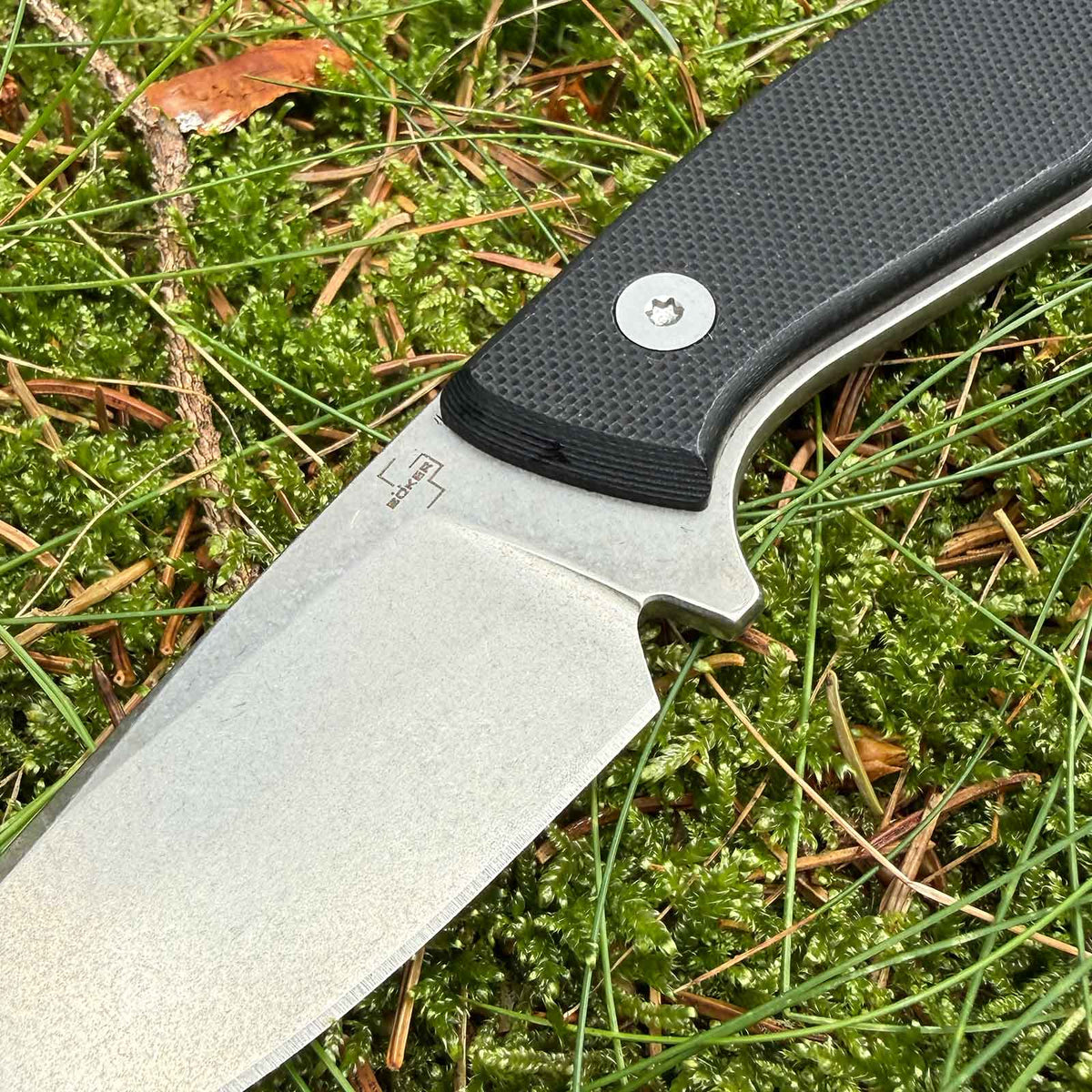 Böker Plus Mini D.A.D. – EDC-Messer mit 72 mm D2-Klinge und Kydexscheide. Nahansicht der satinierten Klinge.