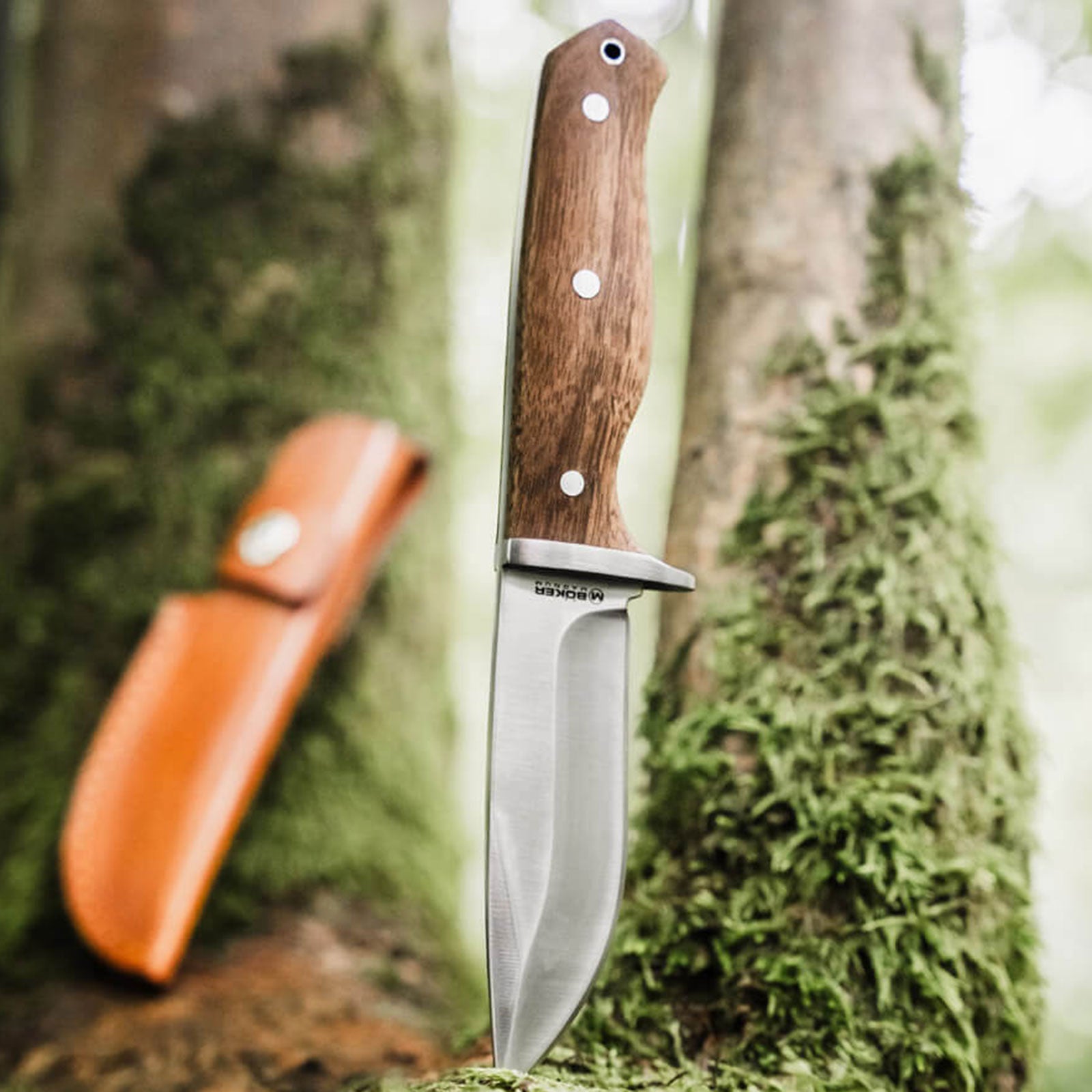 Magnum Walnut Drop Fahrtenmesser