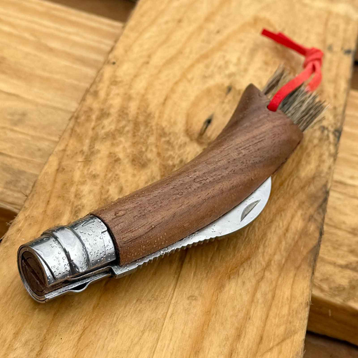 Opinel No. 08 Pilzmesser – 80 mm Klinge, Walnussholzgriff & Bürste in Holz-Geschenkbox