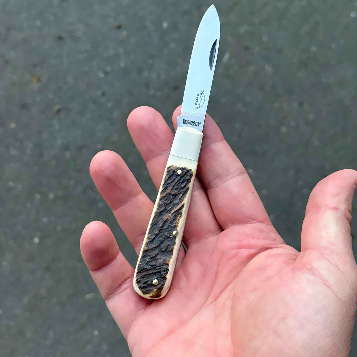 Otter 166 – Taschenmesser mit 70 mm C75-Klinge & Hirschhorngriff