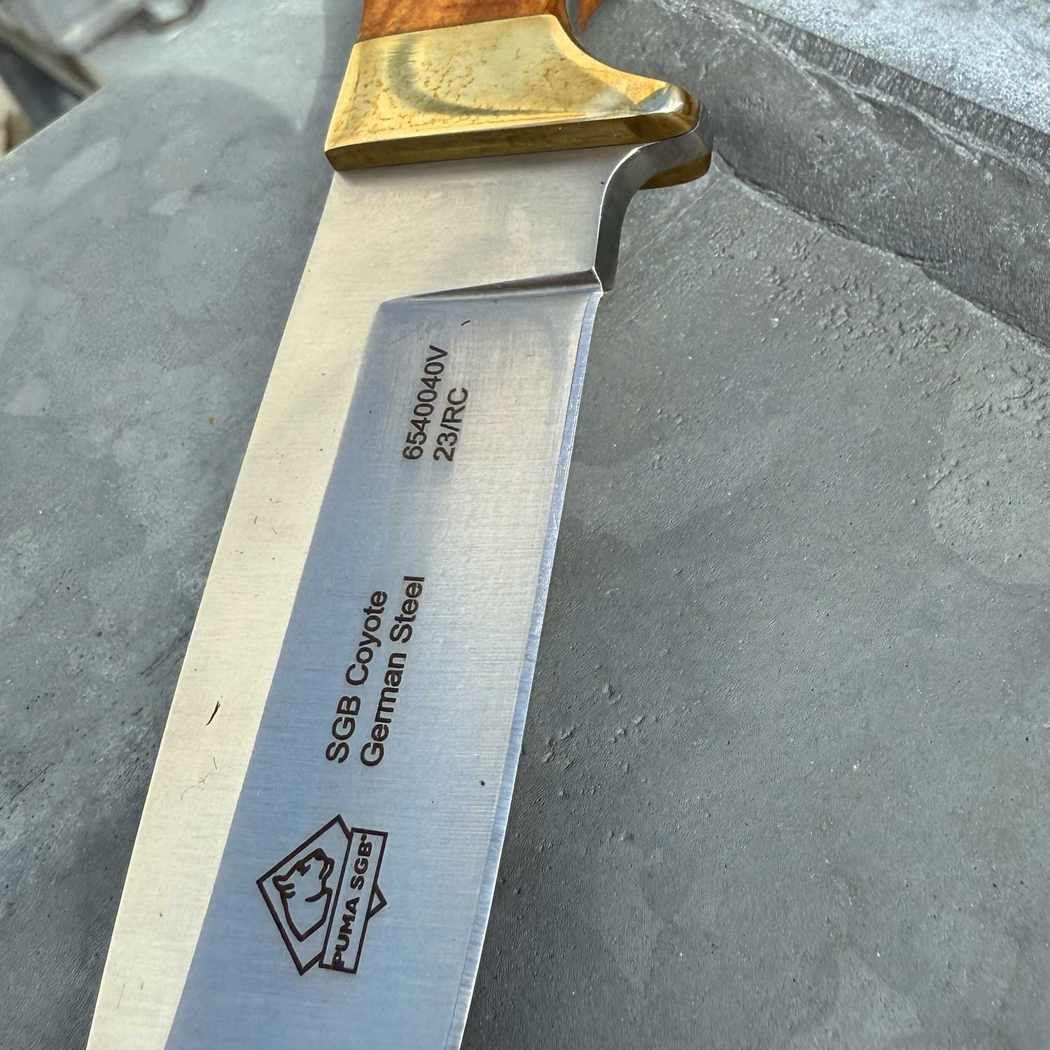 Puma SGB Coyote Outdoor Messer mit Olivenholz Griffschalen & handgenähter Lederscheide – Detailansicht
