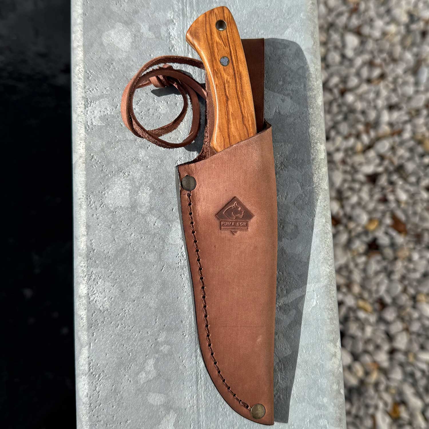 Puma SGB Coyote Outdoor Messer mit Olivenholz Griffschalen & handgenähter Lederscheide – Detailansicht