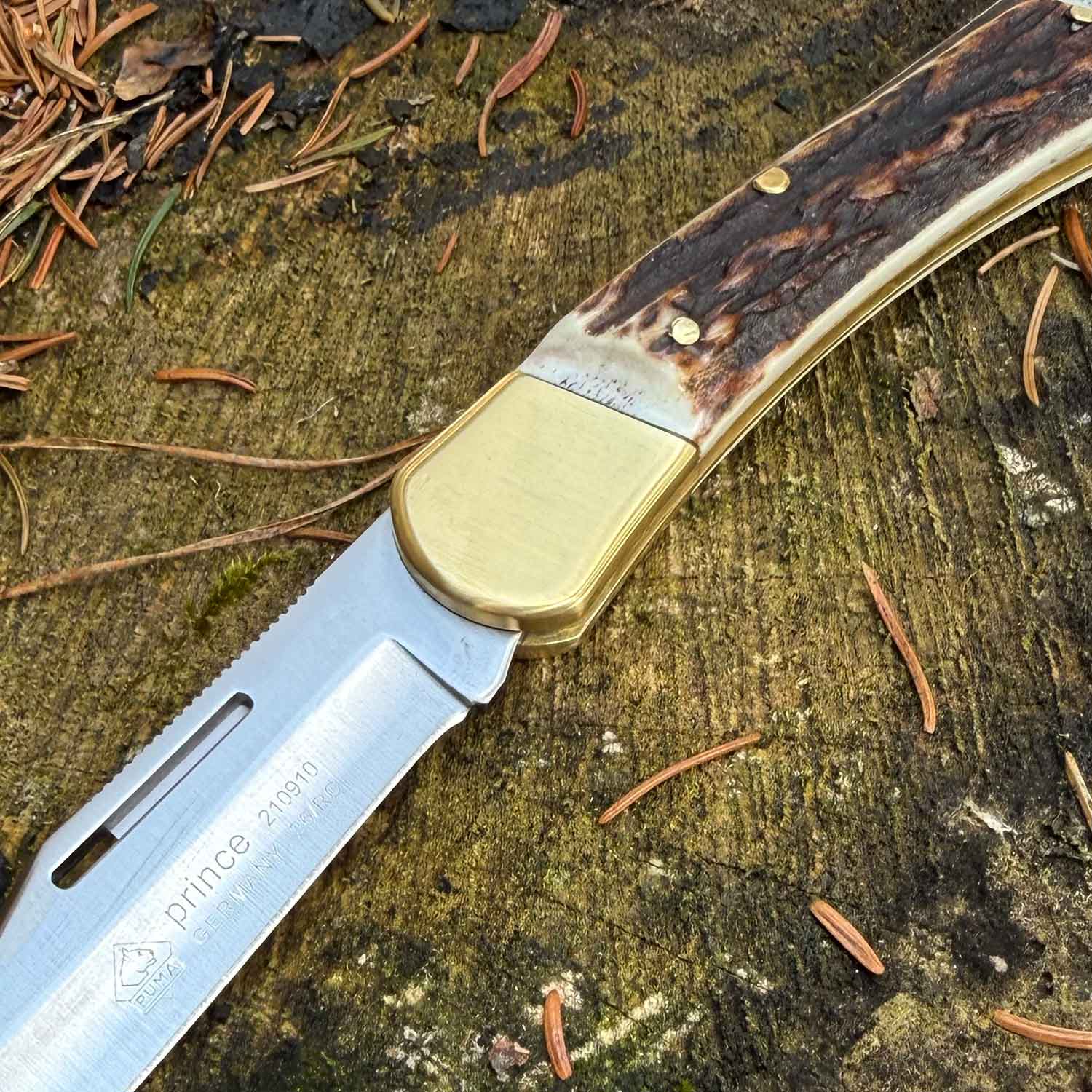 Puma Prince Jagd Taschenmesser – Detailansicht