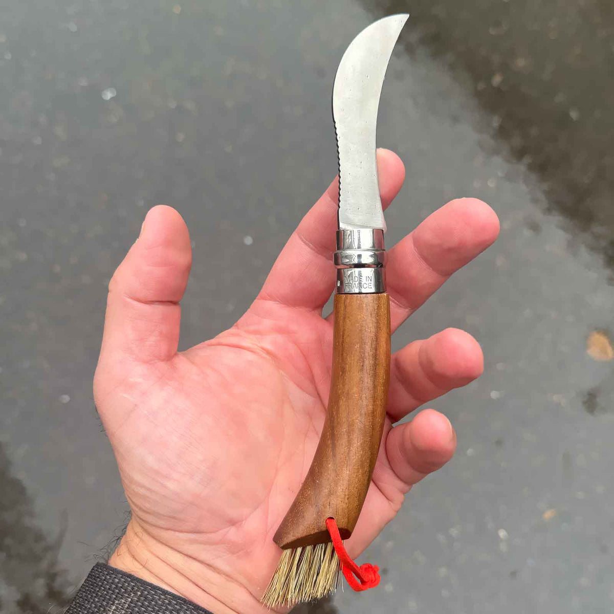 Opinel No. 08 Pilzmesser – 80 mm Klinge, Walnussholzgriff & Bürste in Holz-Geschenkbox