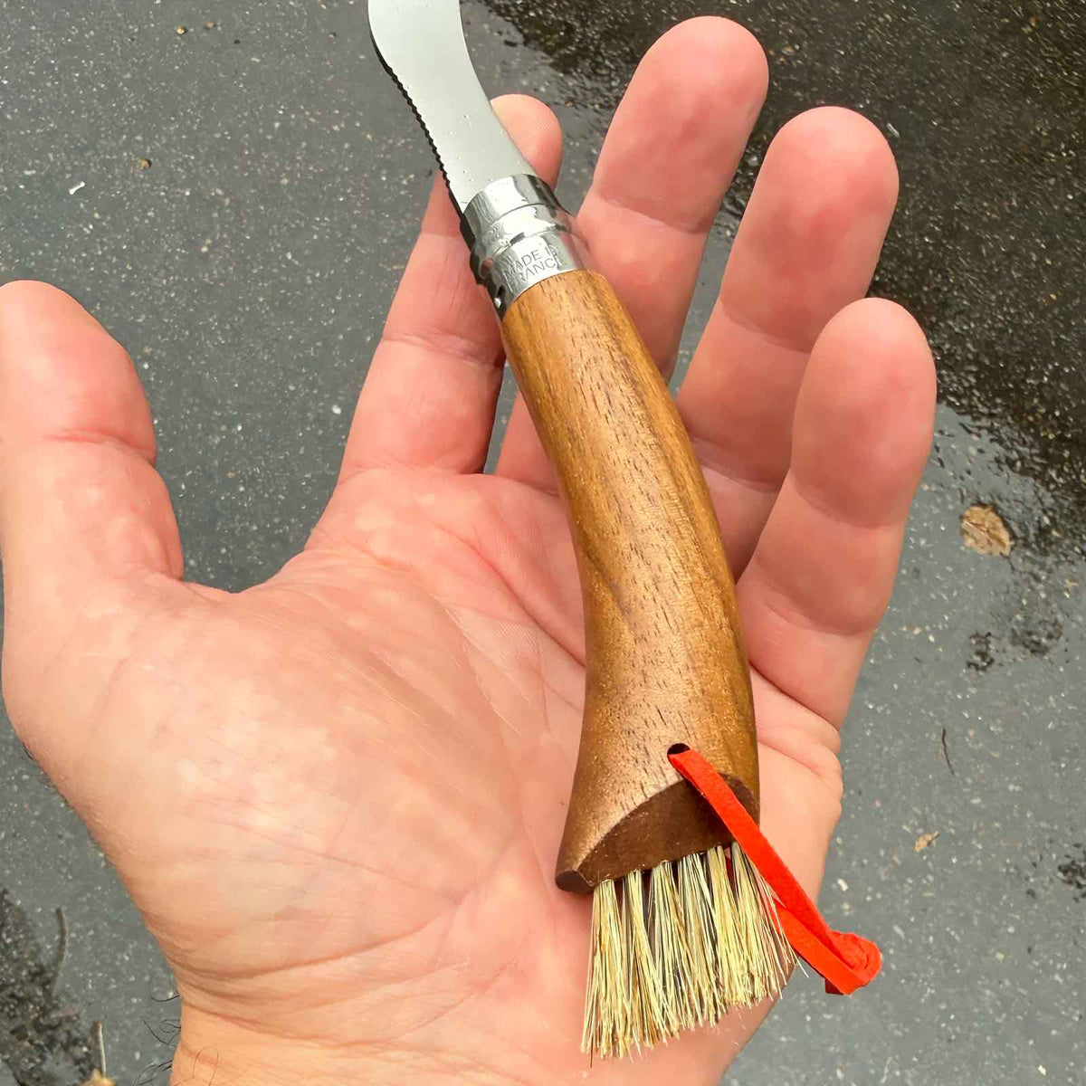 Opinel No. 08 Pilzmesser – 80 mm Klinge, Walnussholzgriff & Bürste in Holz-Geschenkbox