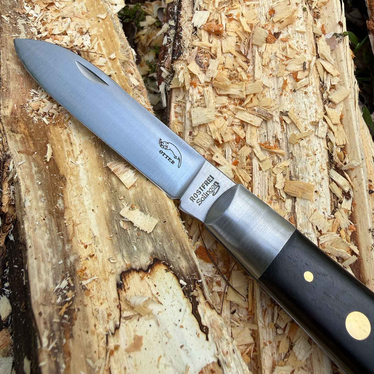 Otter 3-Nieten Messing – Taschenmesser mit 85 mm Klinge & Grenadillholz (162 R)