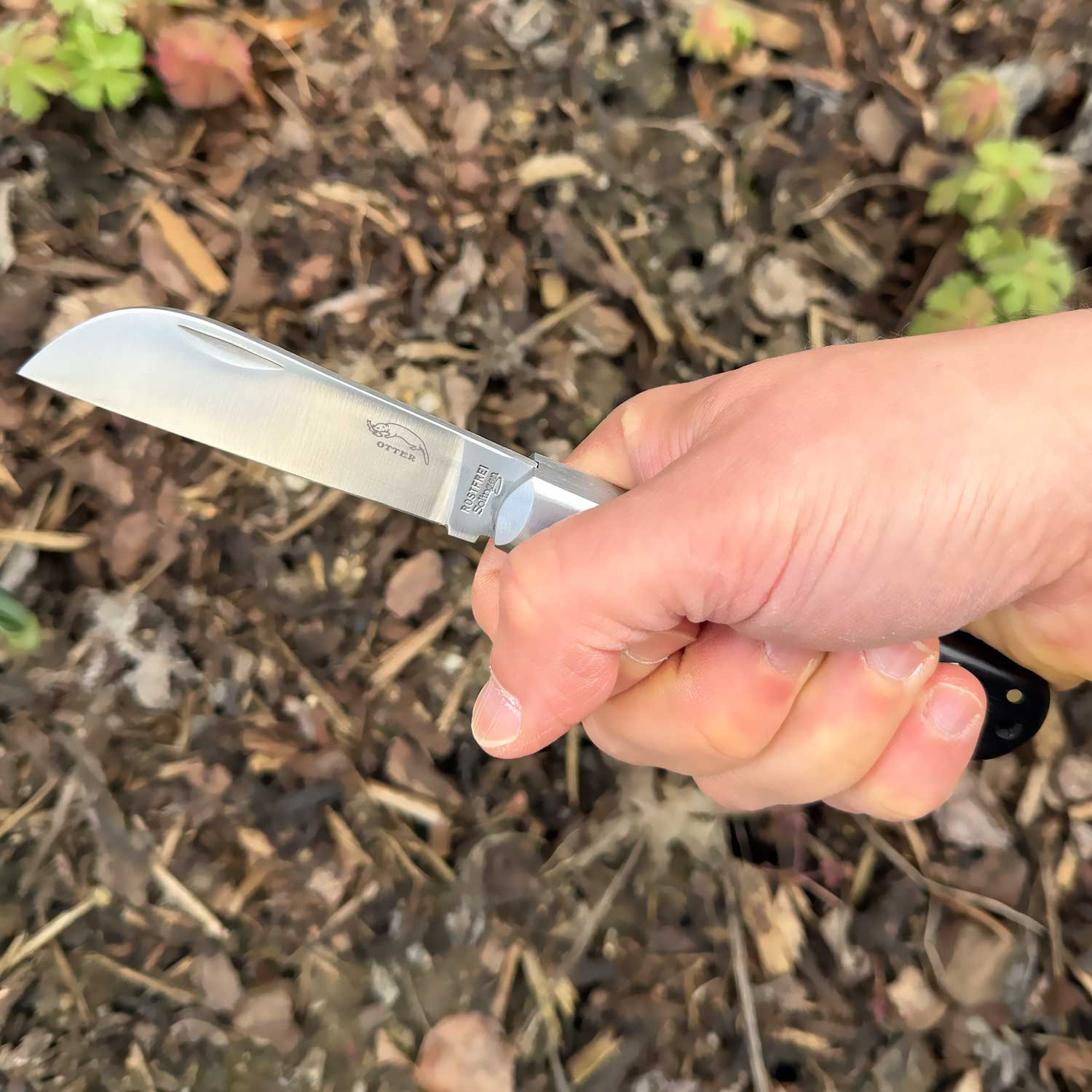Otter Ankermesser Grenadill – Ohne Lederband, Größenvergleich in der Hand
