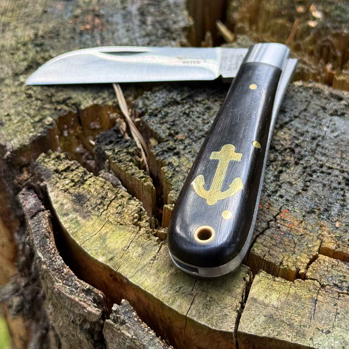 Otter Ankermesser Grenadill klein – Taschenmesser mit 70 mm Sheepfoot-Klinge