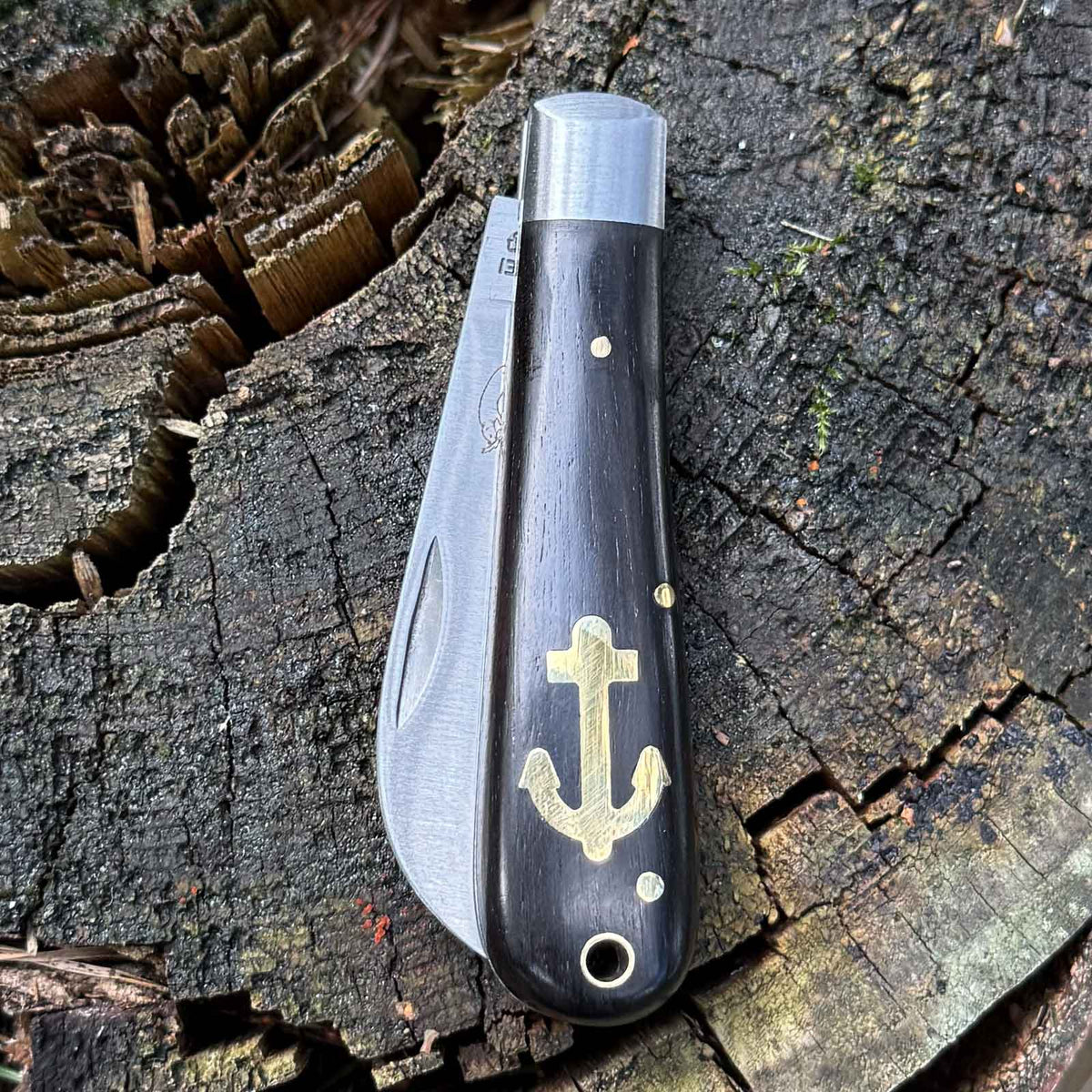 Otter Ankermesser Grenadill klein – Taschenmesser mit 70 mm Sheepfoot-Klinge – Detailansicht
