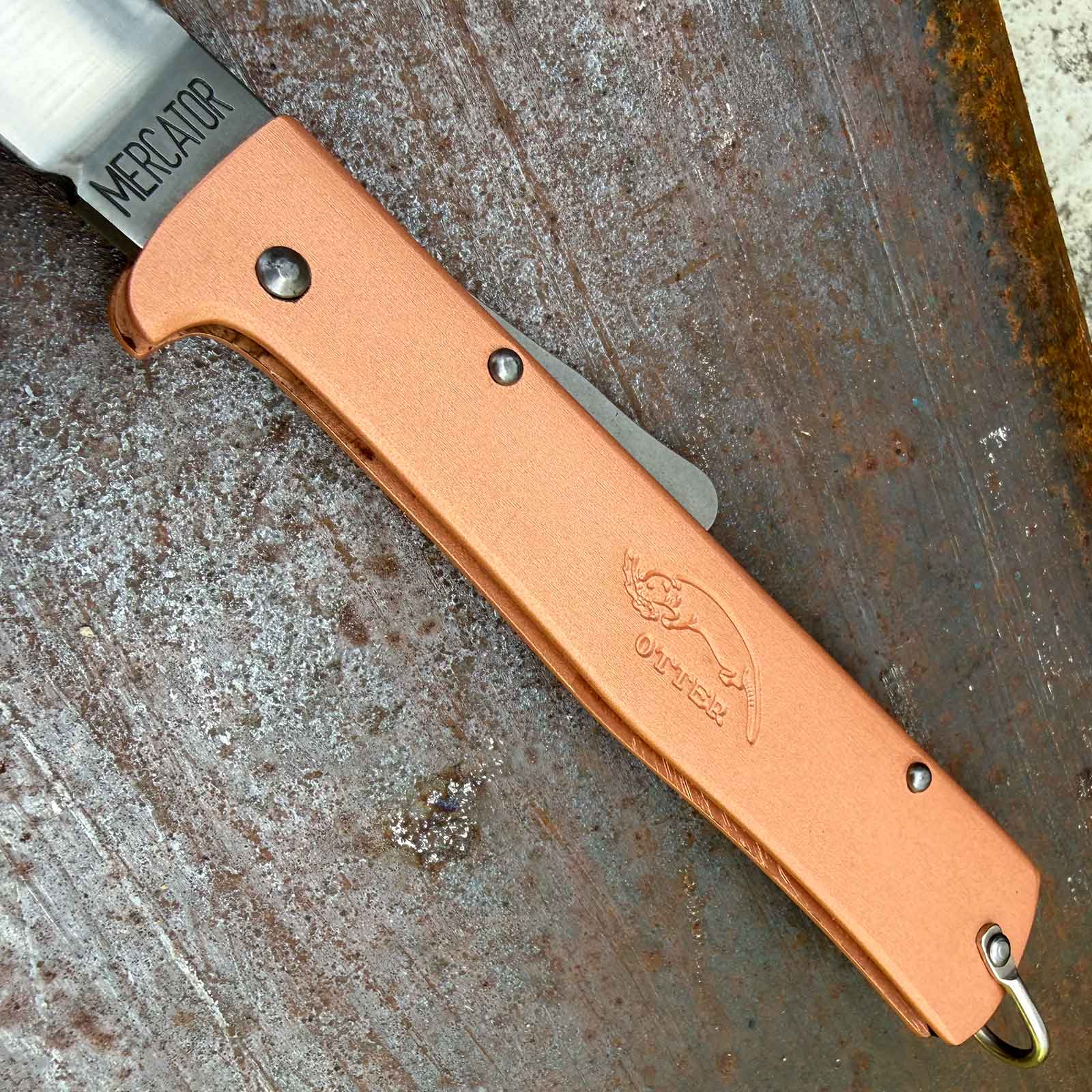 Otter Mercator Kupfer Clip Taschenmesser Kohlenstoff-Stahl C75 (10-636 rg)