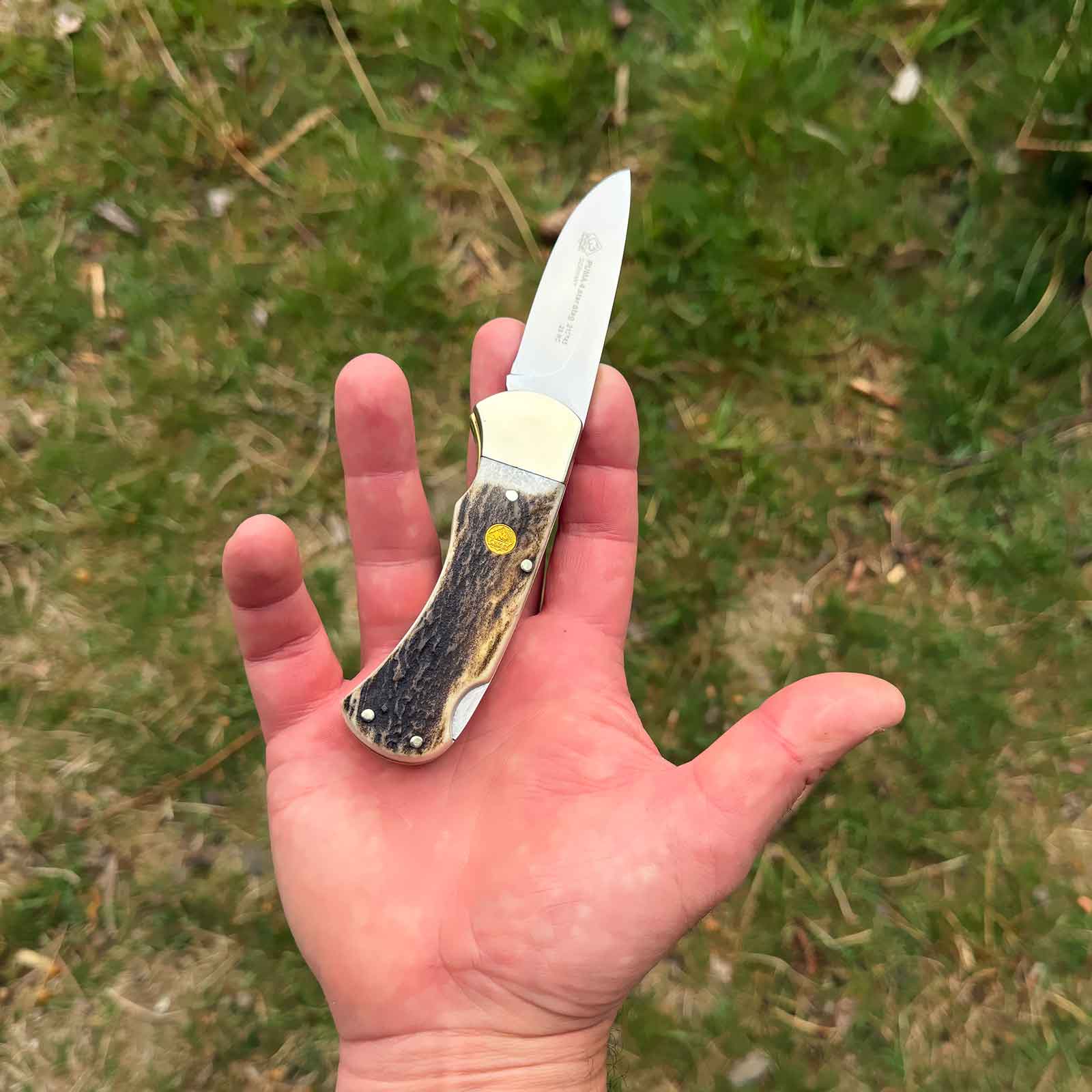 Puma 4-star Stag Jagd Taschenmesser mit Hirschhorn Griffschalen - Größe in der Handfläche