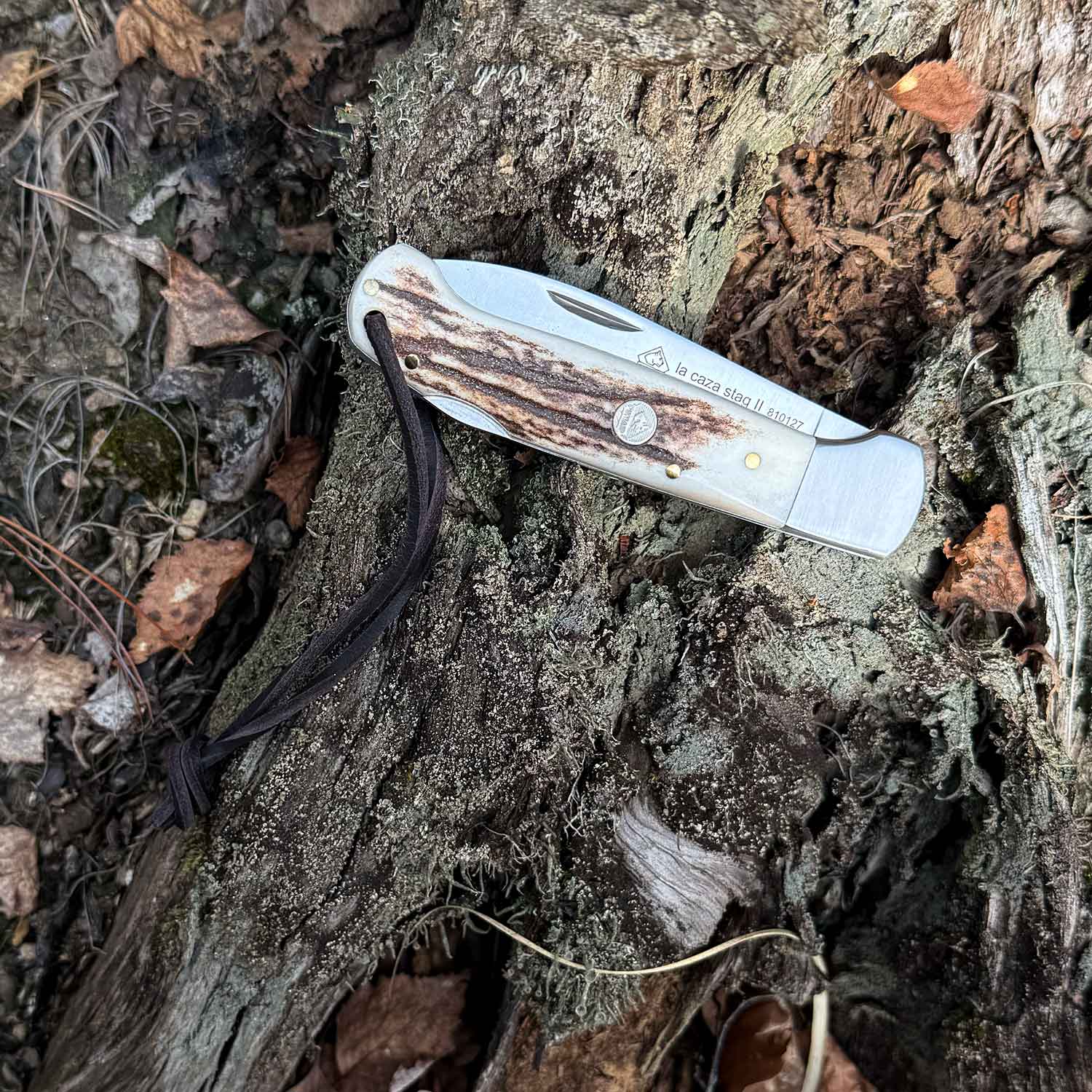 PUMA IP la caza stag II – Jagd-Taschenmesser mit Aufbrechklinge & Hirschhorngriff – Detailansicht