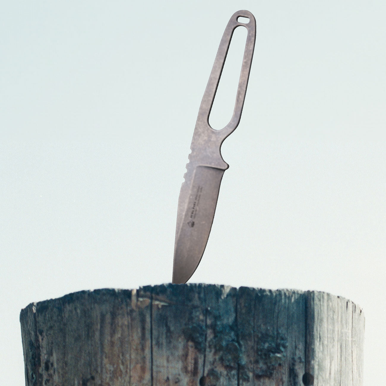 Puma Para EDC Steel Fahrtenmesser, Limited Edition! – Detailansicht