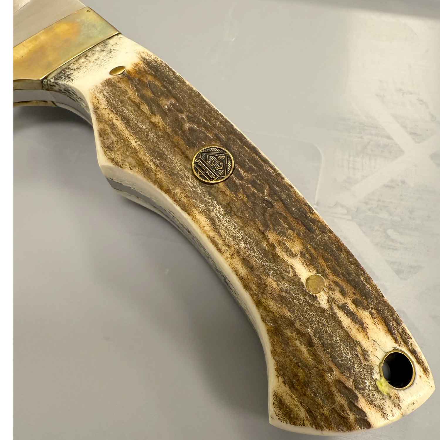 Puma SGB Coyote Stag - Outdoor Messer mit Hirschhorn Griffschalen & handgenähter Lederscheide – Detailansicht